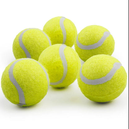 Automatic Tennis Ball Launcher for Small to Medium Sized Dogs, 3 Balls Included, Mini